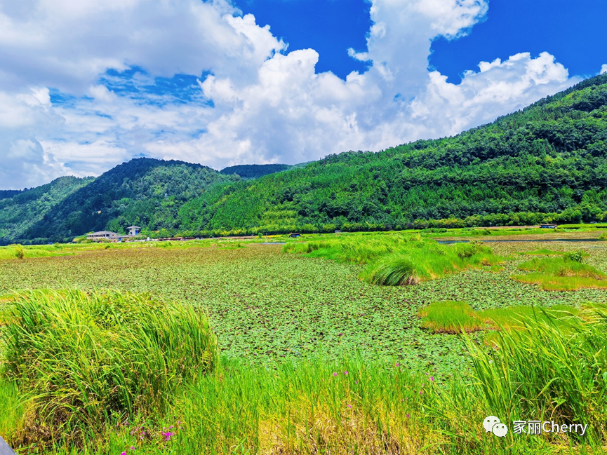 腾冲瑞丽旅游线路_瑞丽腾冲旅游攻略_云南旅游瑞丽腾冲