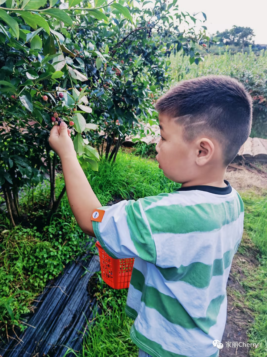 腾冲瑞丽旅游线路_云南旅游瑞丽腾冲_瑞丽腾冲旅游攻略