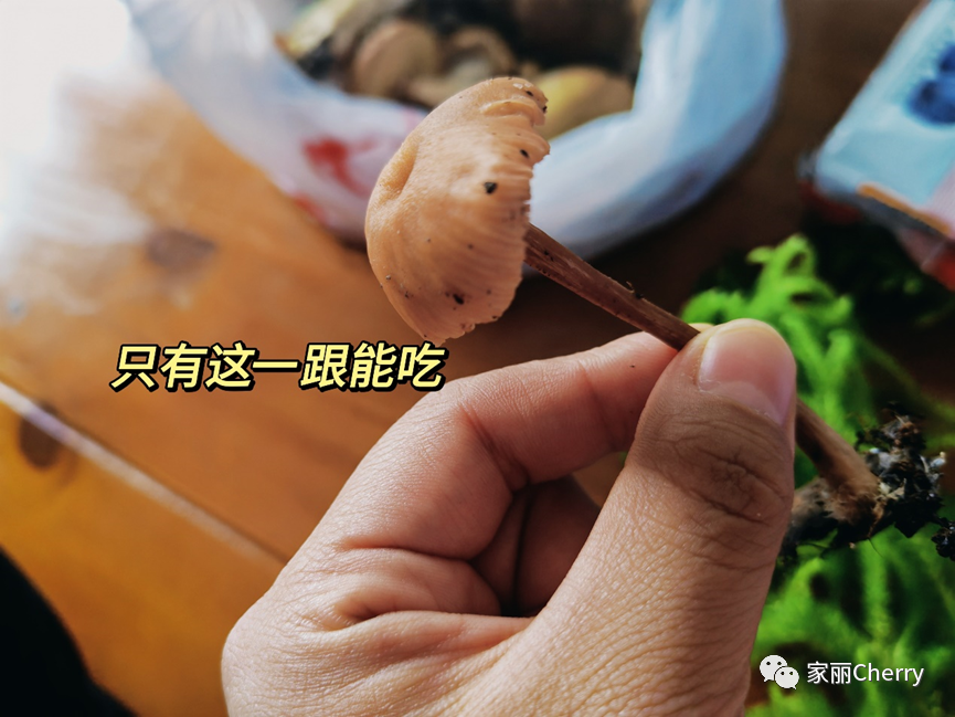 云南旅游瑞丽腾冲_瑞丽腾冲旅游攻略_腾冲瑞丽旅游线路