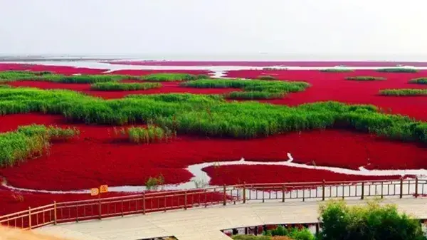 辽宁宁远古城地图_辽宁省葫芦岛宁远古城_辽宁兴城 红海滩 宁远古城旅游攻略