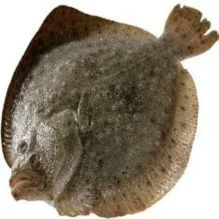 辽宁省葫芦岛宁远古城_辽宁宁远古城地图_辽宁兴城 红海滩 宁远古城旅游攻略