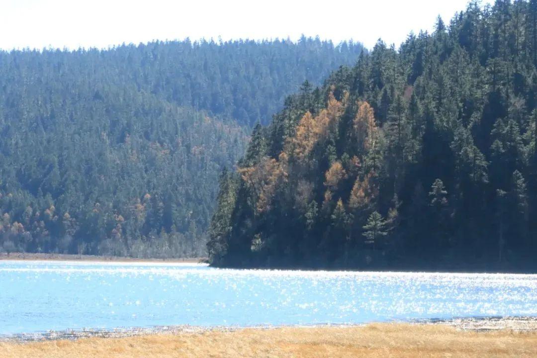 6月香格里拉旅游攻略-1月香格里拉(图63) 6月香格里拉旅游攻略_一月香格里拉旅游_1月香格里拉