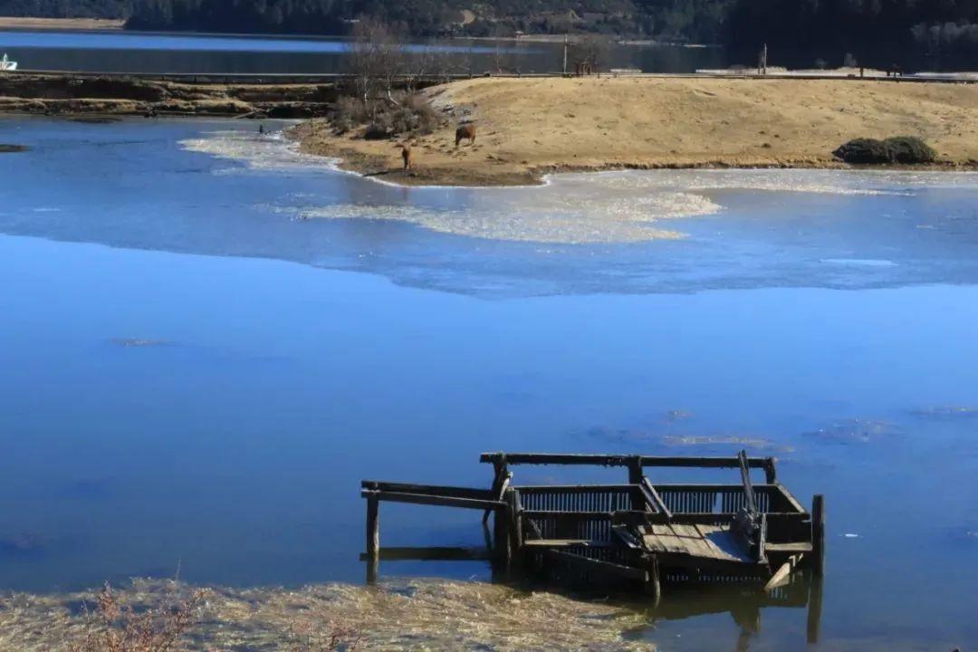 6月香格里拉旅游攻略-1月香格里拉(图64) 6月香格里拉旅游攻略_1月香格里拉_一月香格里拉旅游