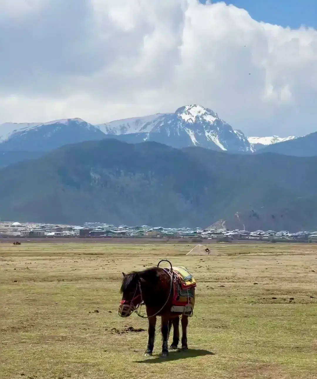 一月香格里拉旅游_香格里拉5月旅游攻略_6月香格里拉旅游攻略