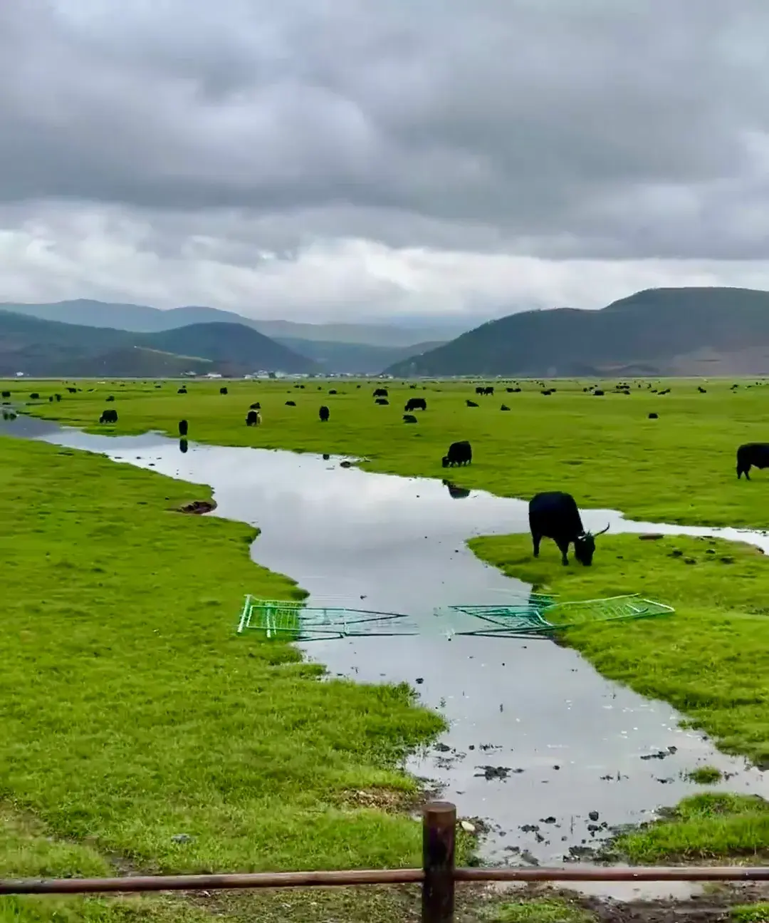香格里拉5月旅游攻略_一月香格里拉旅游_6月香格里拉旅游攻略