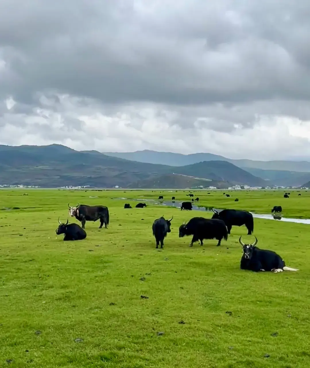 一月香格里拉旅游_香格里拉5月旅游攻略_6月香格里拉旅游攻略