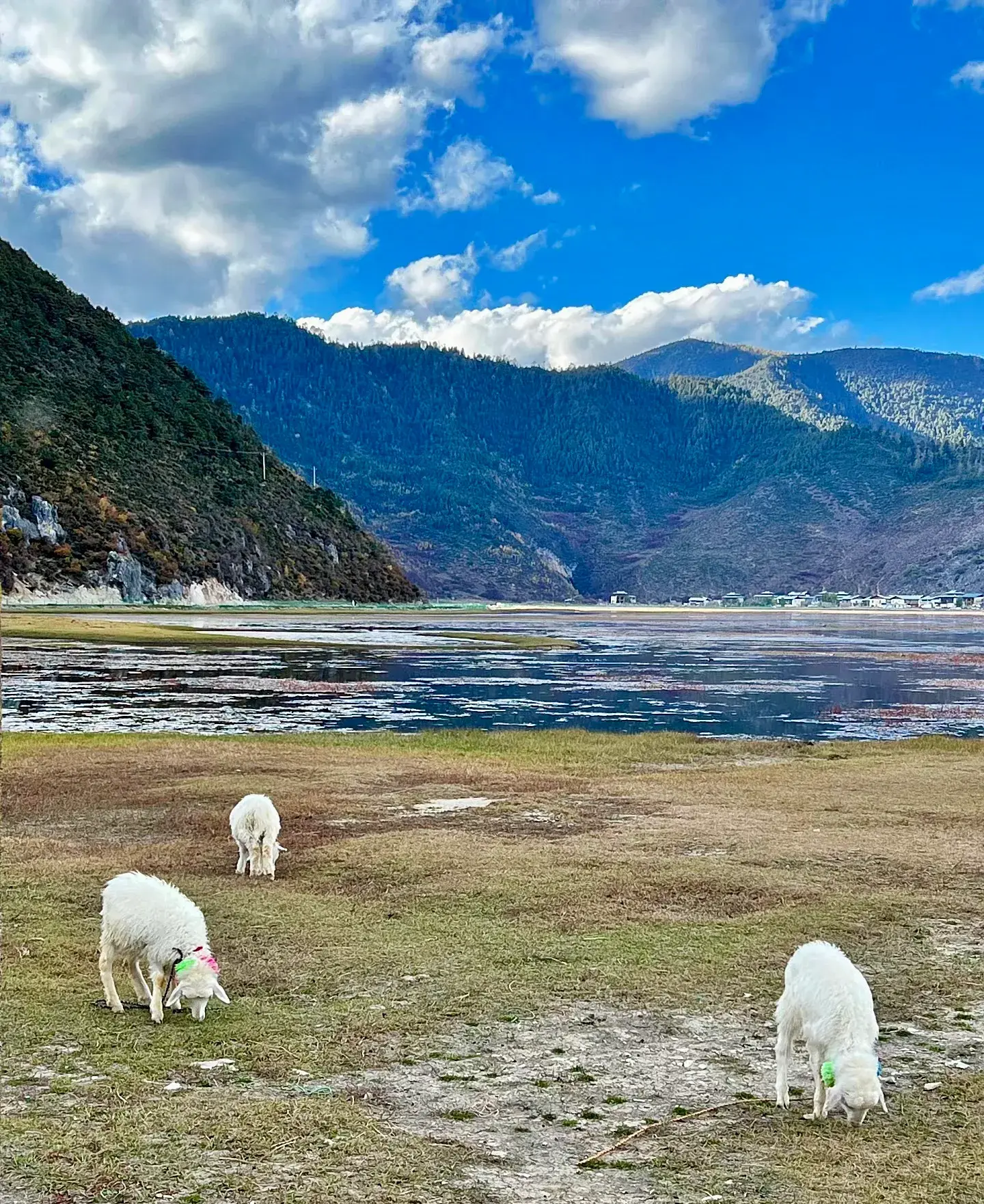 香格里拉5月旅游攻略_一月香格里拉旅游_6月香格里拉旅游攻略