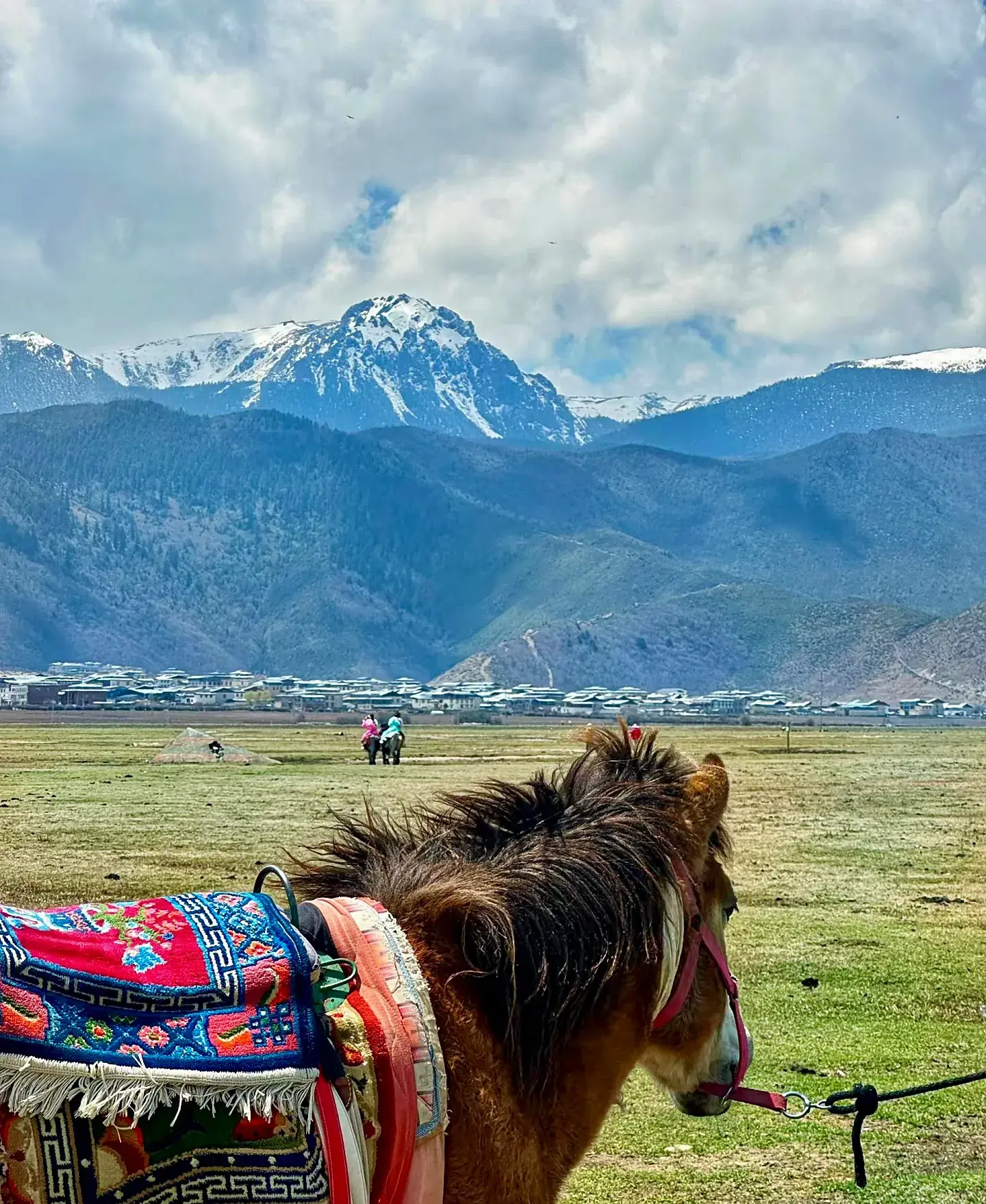 一月香格里拉旅游_6月香格里拉旅游攻略_香格里拉5月旅游攻略
