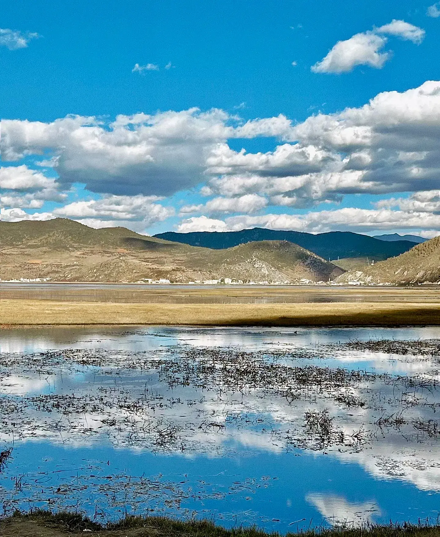 香格里拉5月旅游攻略_一月香格里拉旅游_6月香格里拉旅游攻略