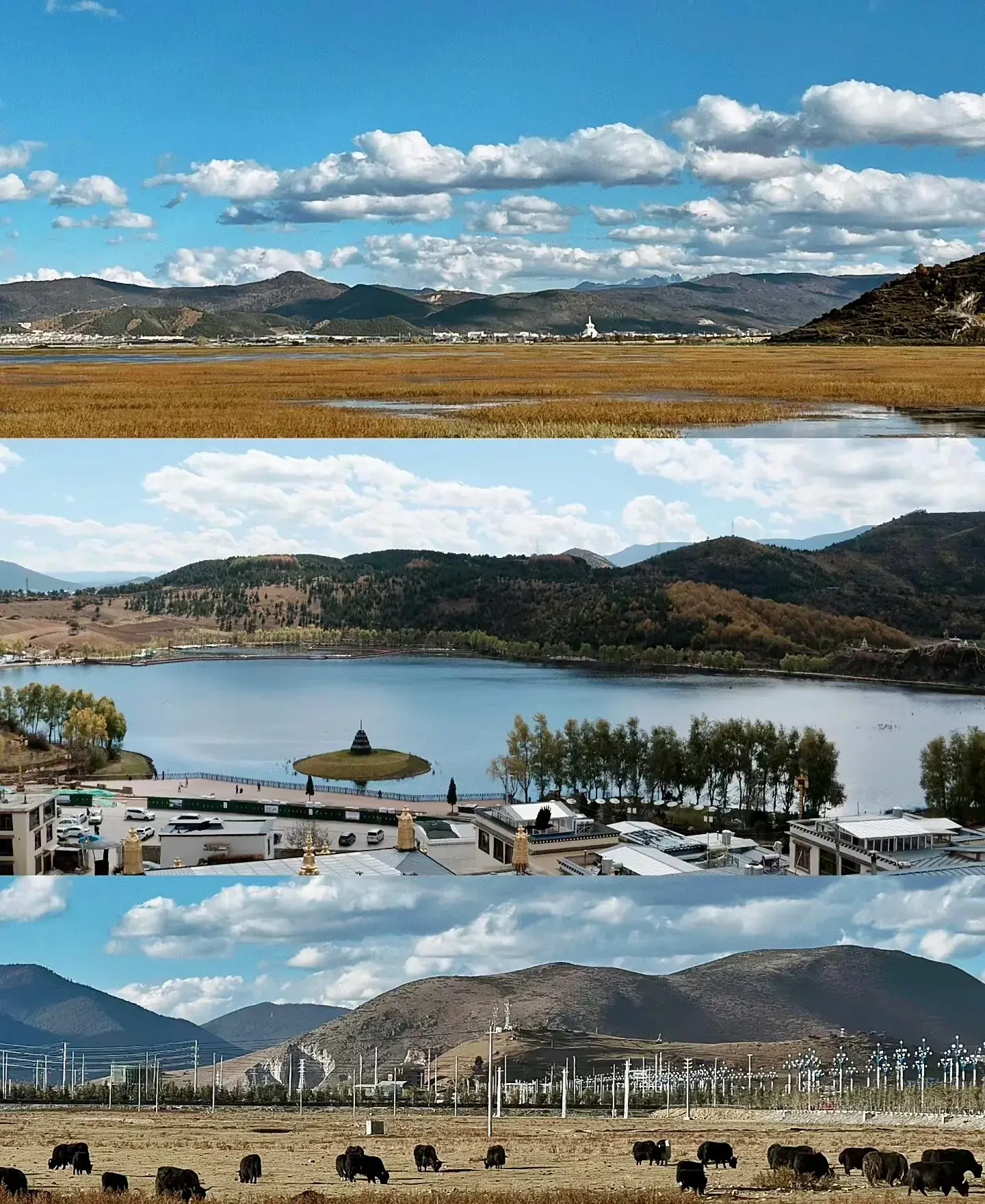 一月香格里拉旅游_香格里拉5月旅游攻略_6月香格里拉旅游攻略