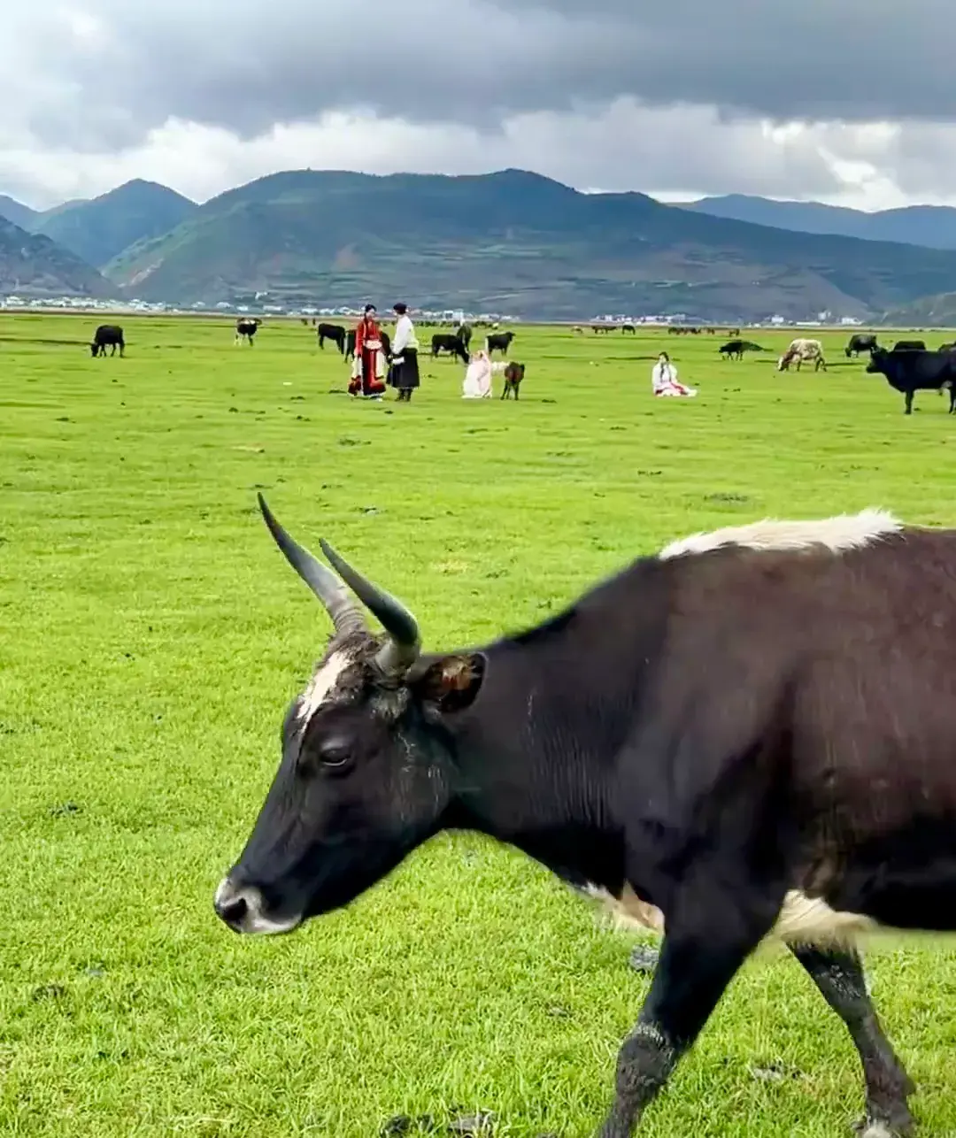 香格里拉5月旅游攻略_6月香格里拉旅游攻略_一月香格里拉旅游