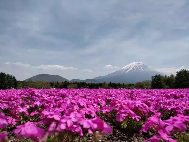 日本富士山旅游攻略_日本富士山旅游线路_日本富士山旅游攻略视频
