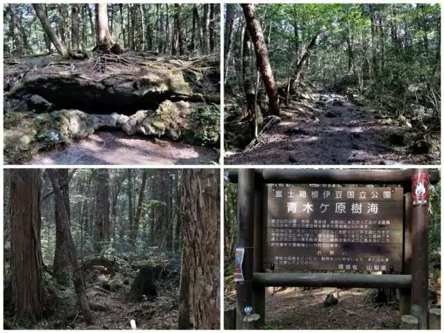 日本富士山旅游攻略视频_日本富士山旅游线路_日本富士山旅游攻略