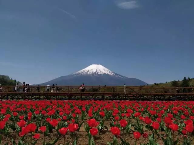 日本富士山旅游攻略_日本富士山旅游攻略视频_日本富士山旅游线路