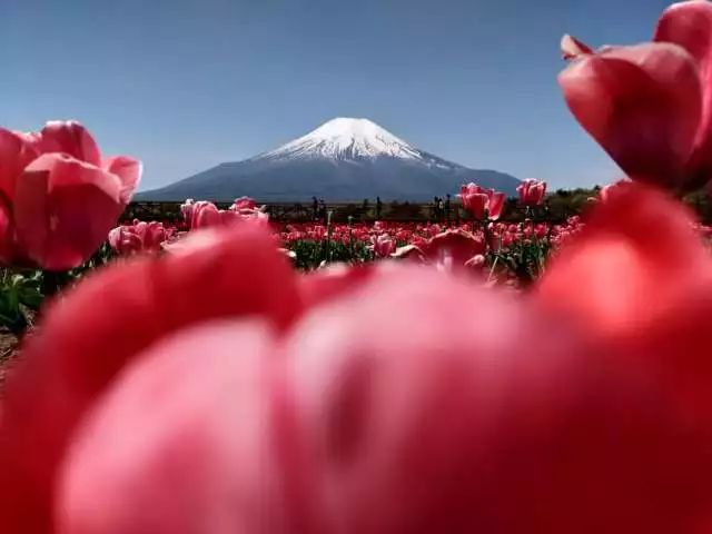 日本富士山旅游线路_日本富士山旅游攻略视频_日本富士山旅游攻略