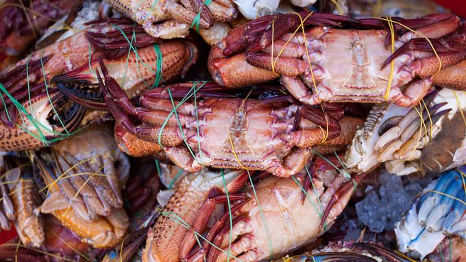 河内旅游不可或缺的风景_河内旅游攻略_攻略河内旅游路线