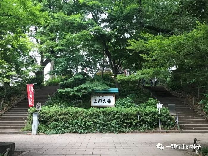 日本富士山旅游攻略_日本富士山游记_日本富士山景点讲解