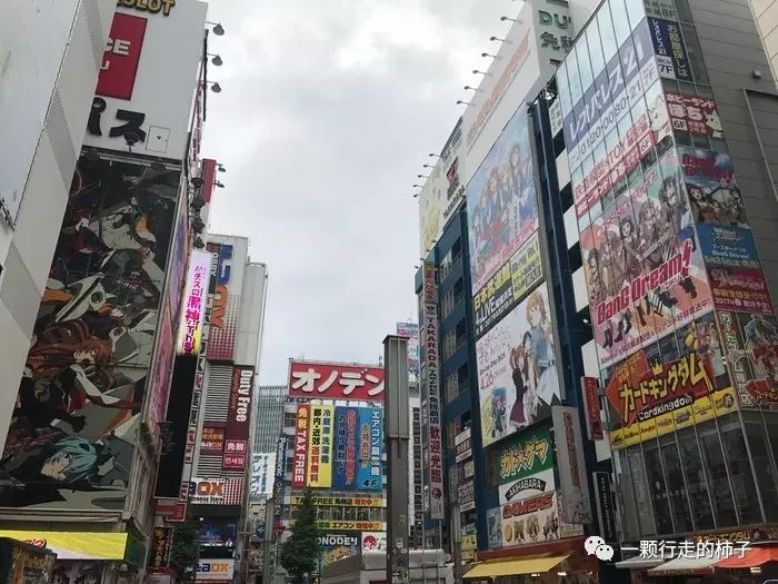 日本富士山景点讲解_日本富士山旅游攻略_日本富士山游记