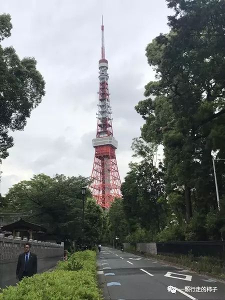 日本富士山游记_日本富士山旅游攻略_日本富士山景点讲解