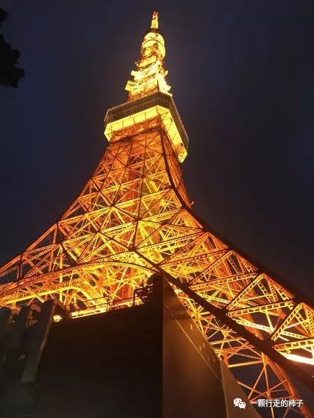 日本富士山旅游攻略_日本富士山景点讲解_日本富士山游记