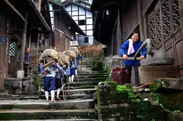 石柱黄水景区图片_石柱黄水一日游_石柱黄水公园旅游攻略