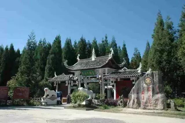 石柱黄水一日游_石柱黄水公园旅游攻略_石柱黄水景区图片