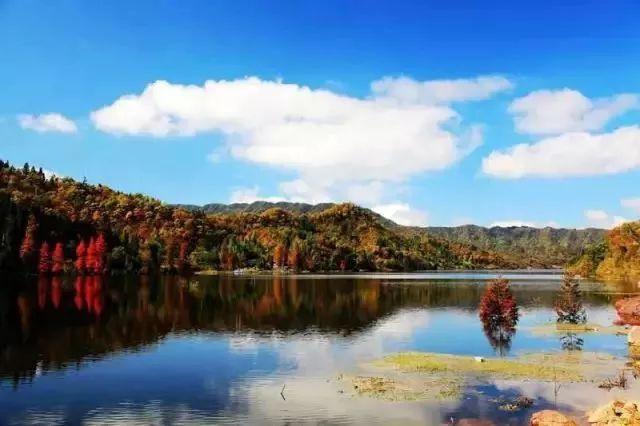 石柱黄水公园旅游攻略_石柱黄水一日游_石柱黄水景区图片
