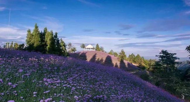 石柱黄水公园旅游攻略_石柱黄水景区图片_石柱黄水一日游