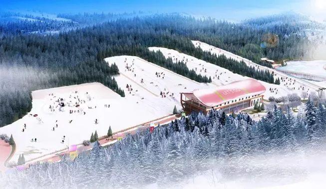 石柱黄水一日游_石柱黄水景区图片_石柱黄水公园旅游攻略