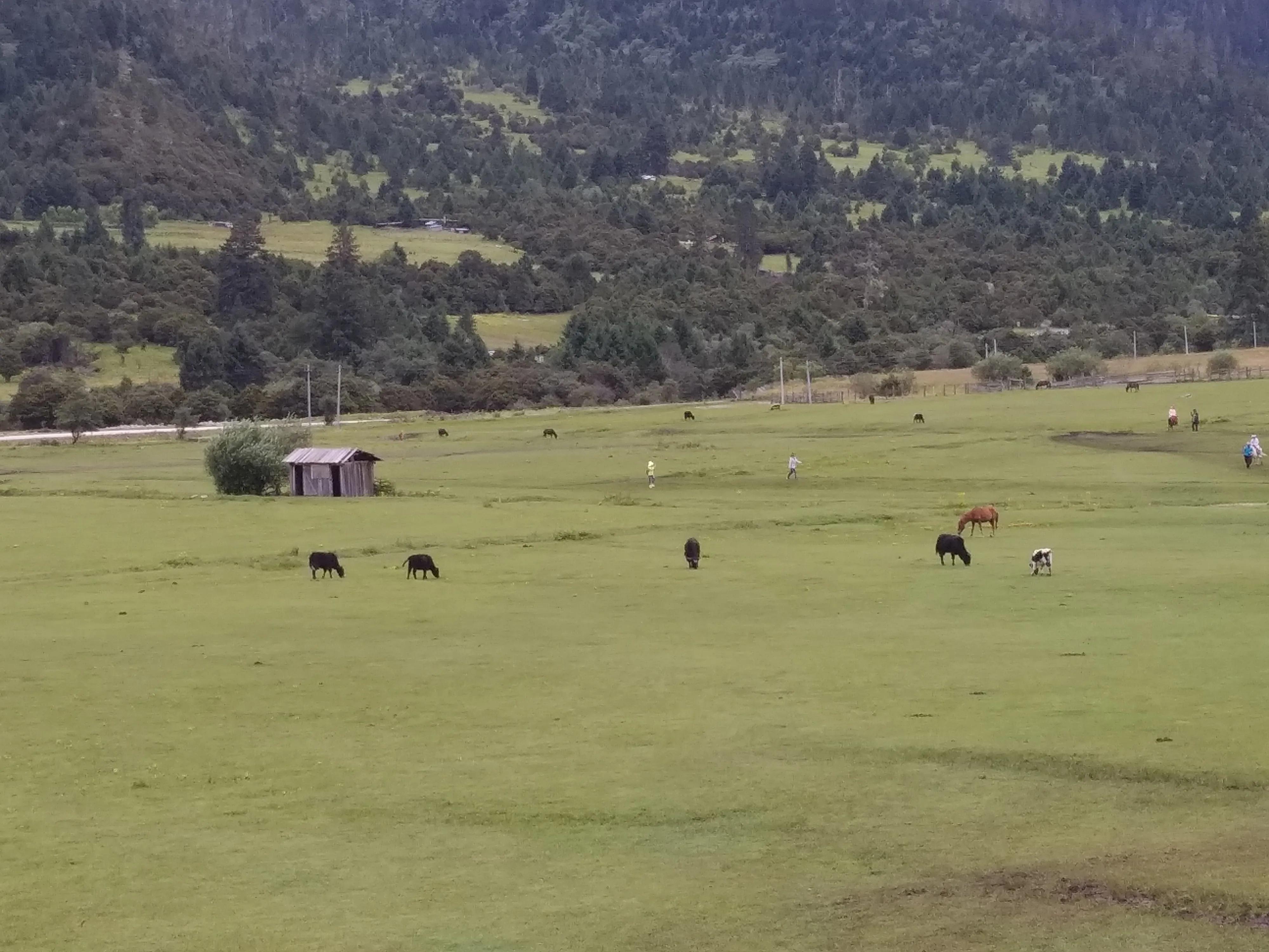 怎么在百度旅游写攻略-旅游攻略文档(图7) 怎么在百度旅游写攻略_旅游攻略文档_百度旅游攻略网