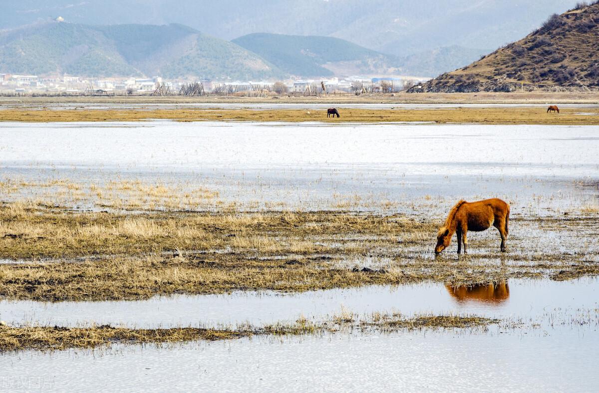 香格里拉5月旅游攻略_1月香格里拉_6月香格里拉旅游攻略