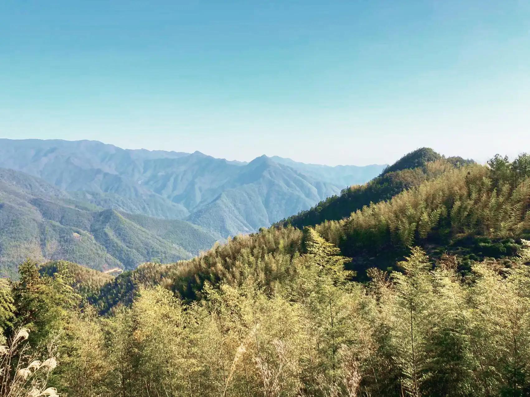 墨脱旅游须知_墨脱旅游攻略_墨脱旅游线路