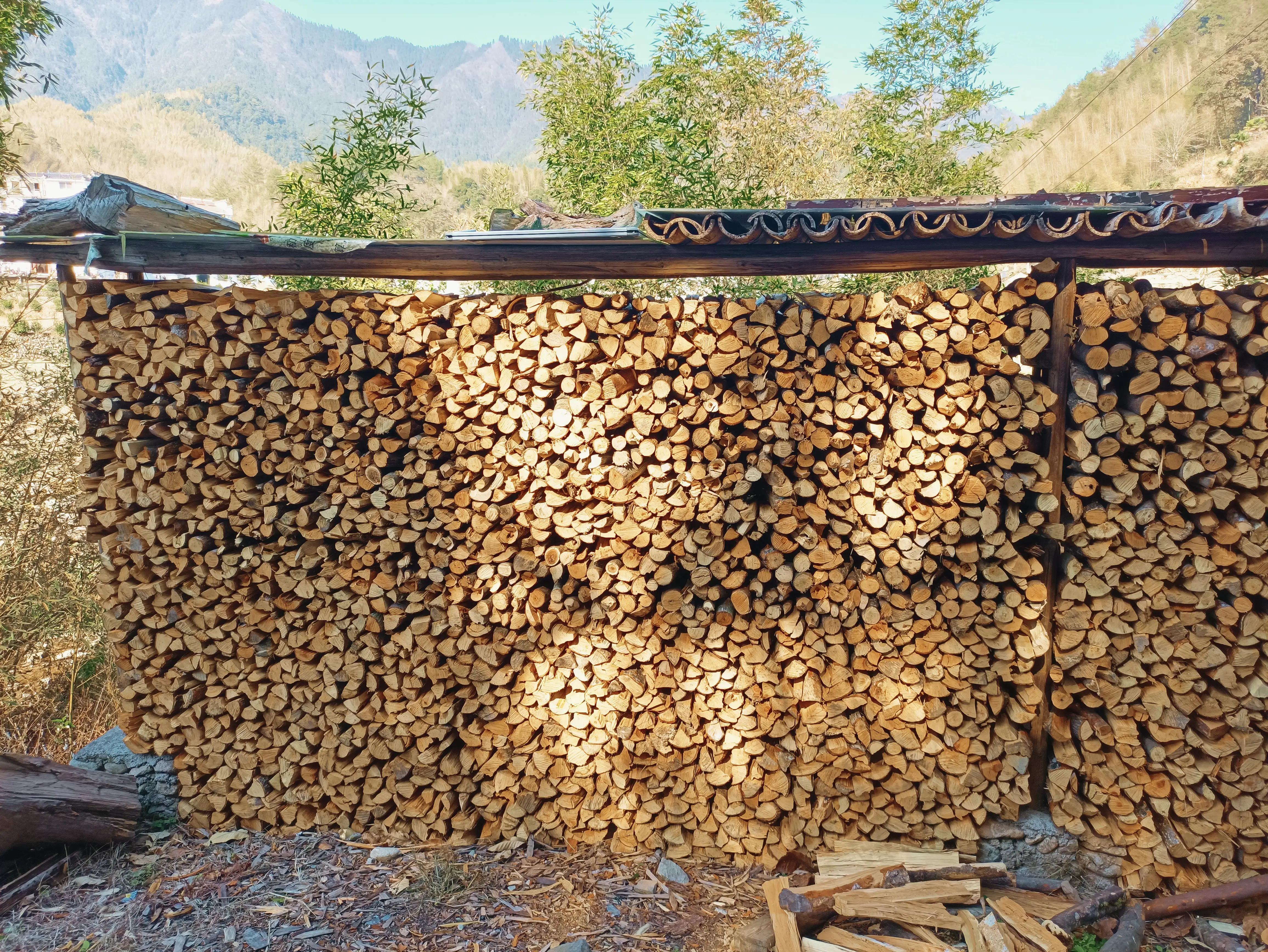 墨脱旅游攻略_墨脱旅游线路_墨脱旅游须知