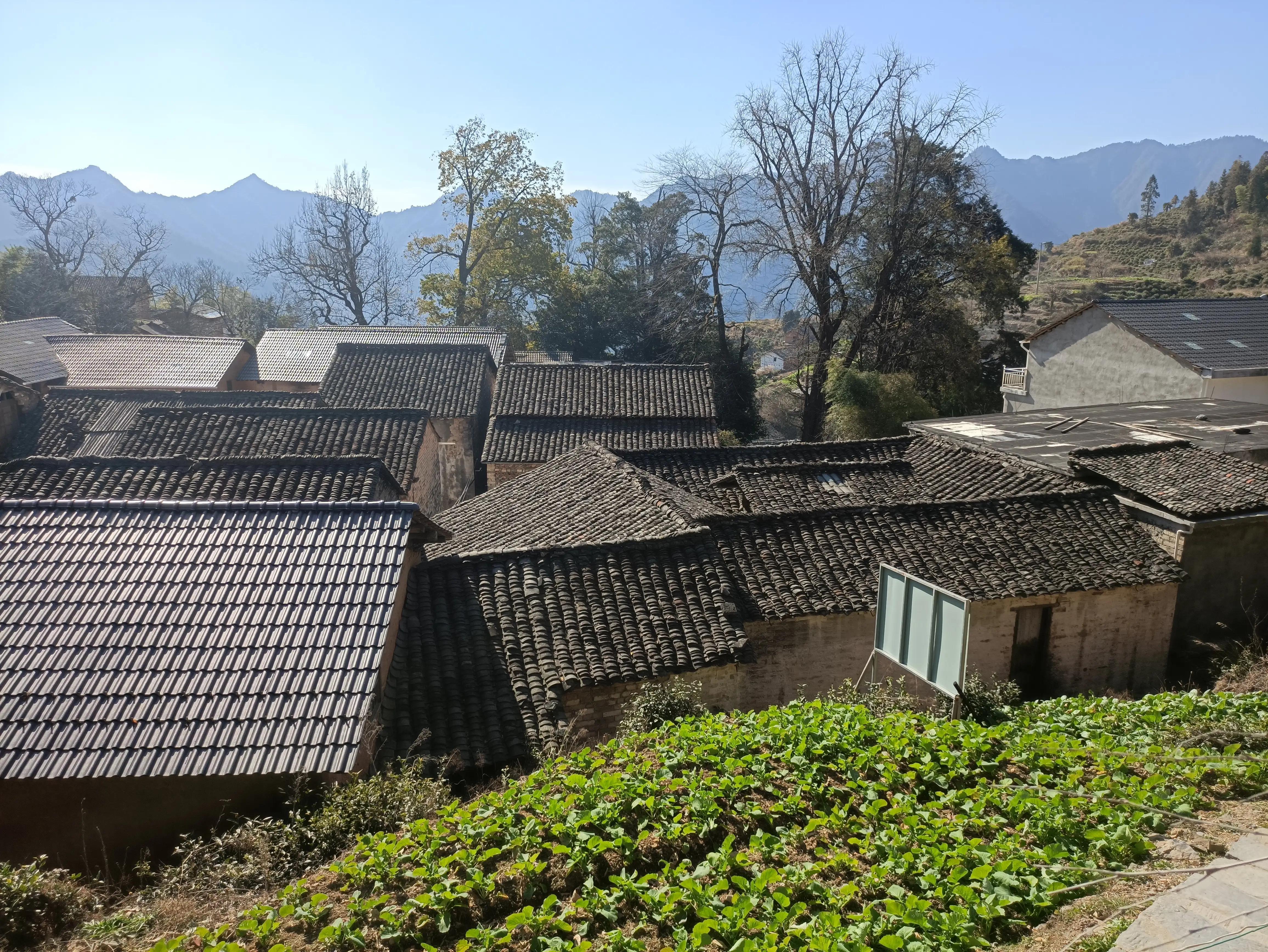 墨脱旅游须知_墨脱旅游攻略_墨脱旅游线路