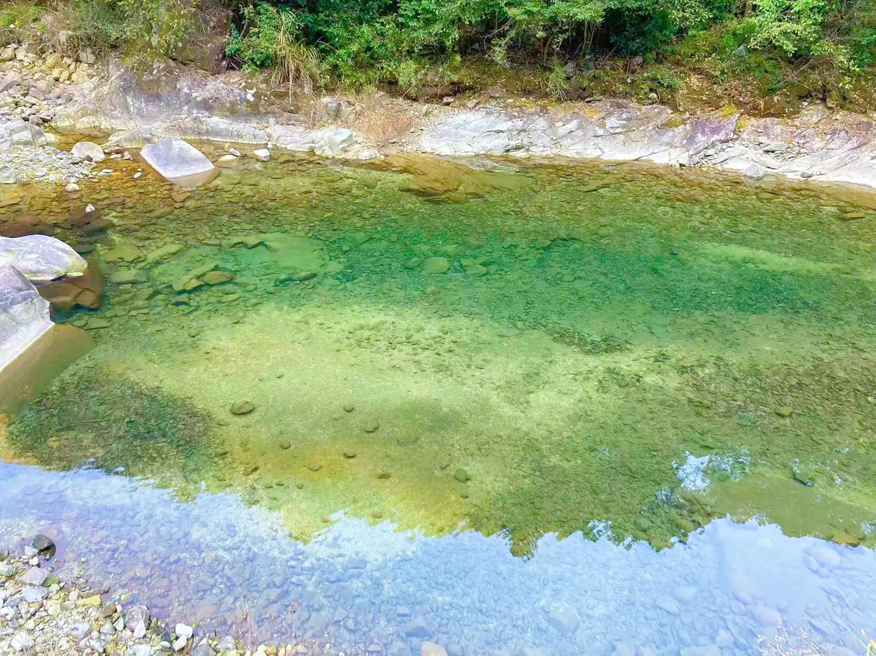 墨脱旅游线路_墨脱旅游须知_墨脱旅游攻略