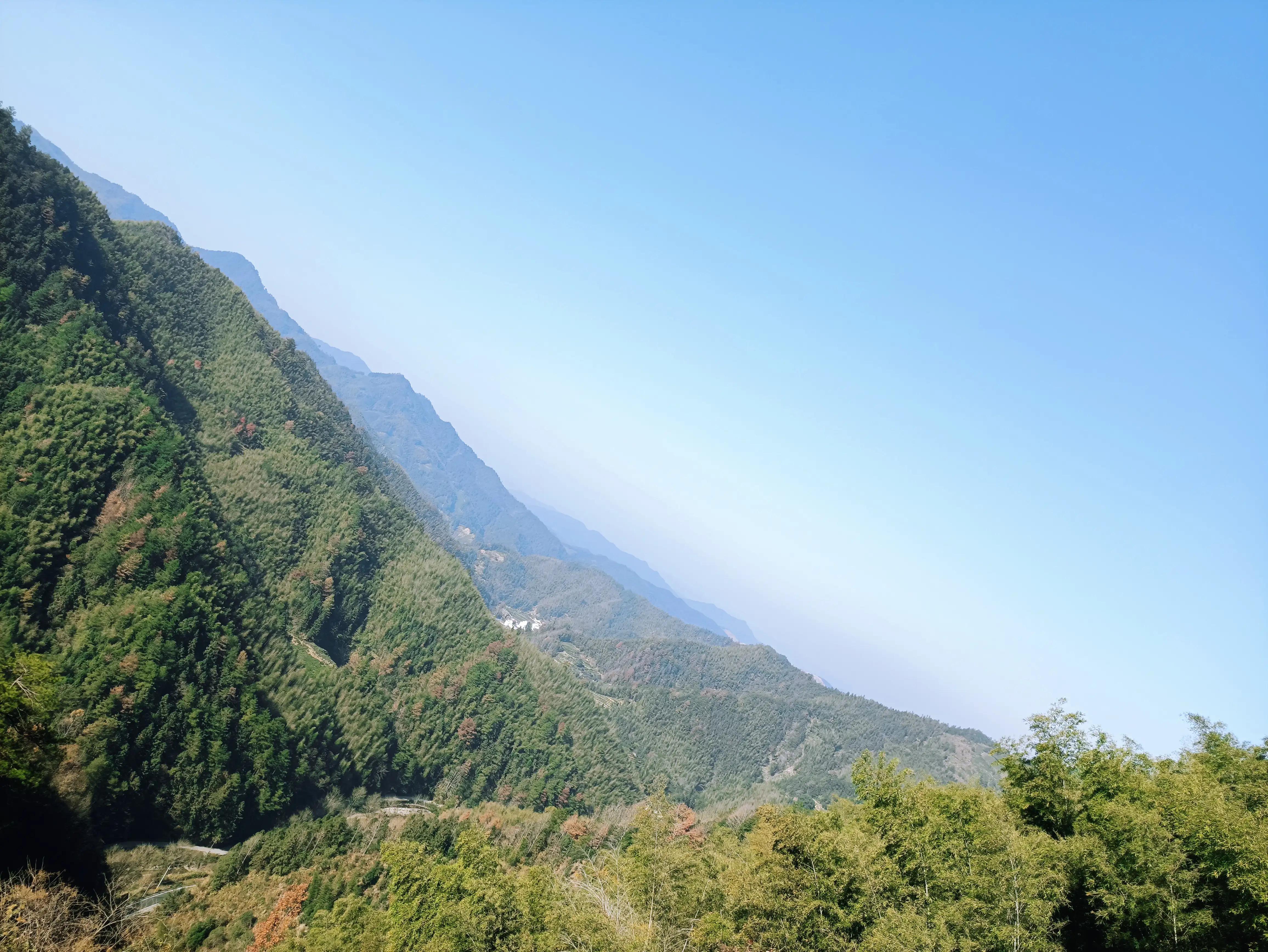 墨脱旅游须知_墨脱旅游线路_墨脱旅游攻略