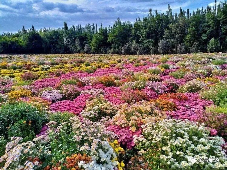 甘肃金昌旅游攻略-甘肃金昌哪里好玩(图13) 甘肃金昌旅游攻略_甘肃金昌景点_甘肃金昌哪里好玩