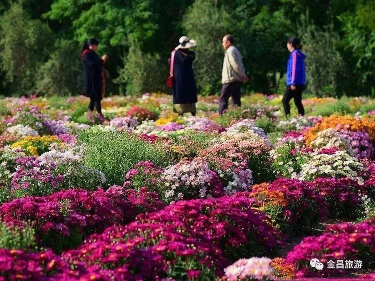 甘肃金昌旅游攻略-甘肃金昌哪里好玩(图14) 甘肃金昌哪里好玩_甘肃金昌旅游攻略_甘肃金昌景点