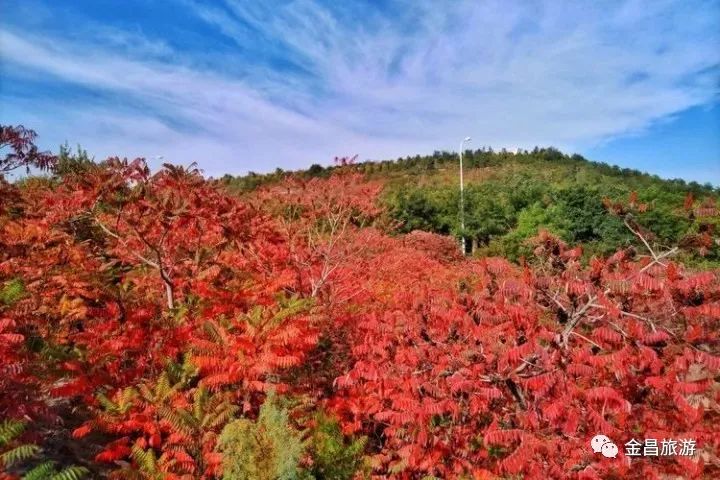 甘肃金昌旅游攻略-甘肃金昌哪里好玩(图25) 甘肃金昌哪里好玩_甘肃金昌景点_甘肃金昌旅游攻略