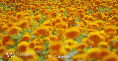 甘肃金昌旅游攻略-甘肃金昌哪里好玩(图30) 甘肃金昌哪里好玩_甘肃金昌景点_甘肃金昌旅游攻略