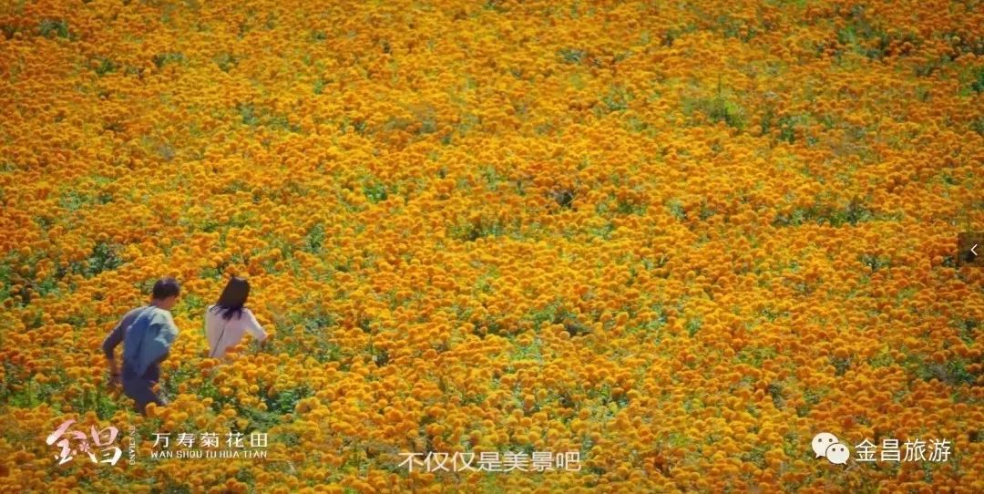 甘肃金昌旅游攻略-甘肃金昌哪里好玩(图31) 甘肃金昌旅游攻略_甘肃金昌景点_甘肃金昌哪里好玩