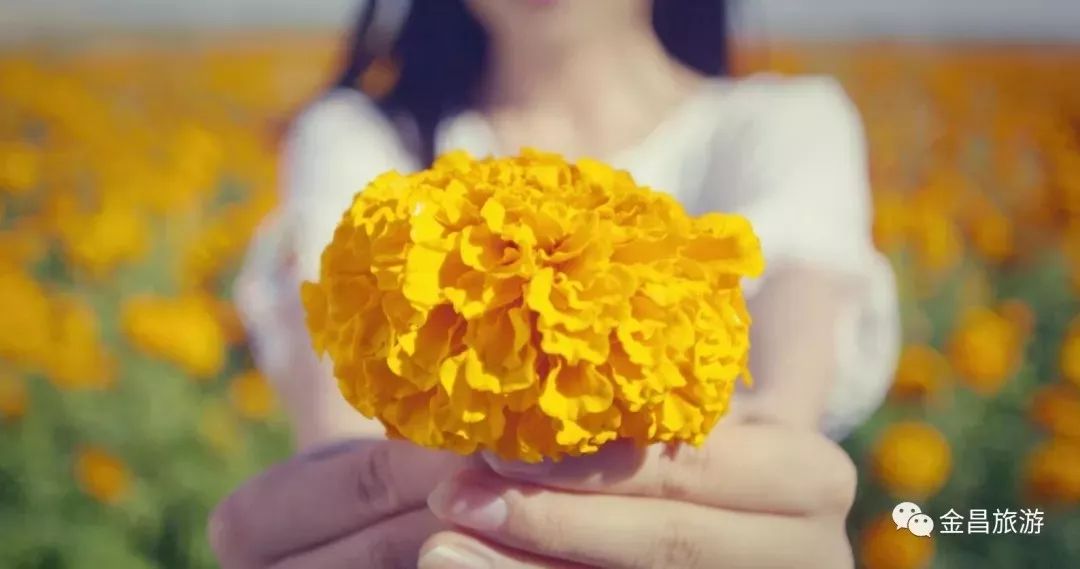 甘肃金昌旅游攻略-甘肃金昌哪里好玩(图32) 甘肃金昌旅游攻略_甘肃金昌哪里好玩_甘肃金昌景点