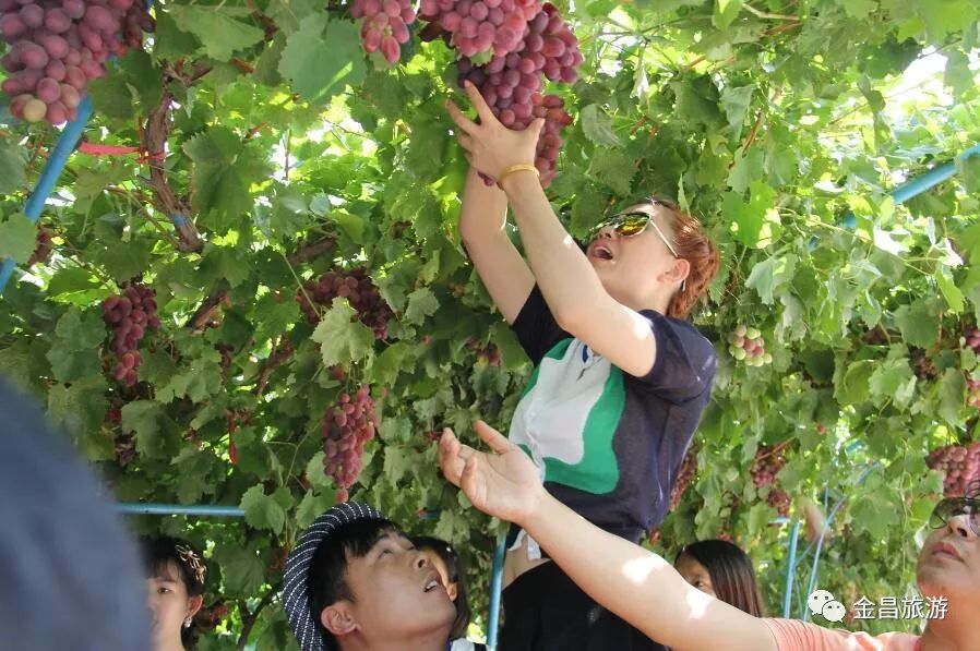 甘肃金昌旅游攻略-甘肃金昌哪里好玩(图47) 甘肃金昌旅游攻略_甘肃金昌哪里好玩_甘肃金昌景点