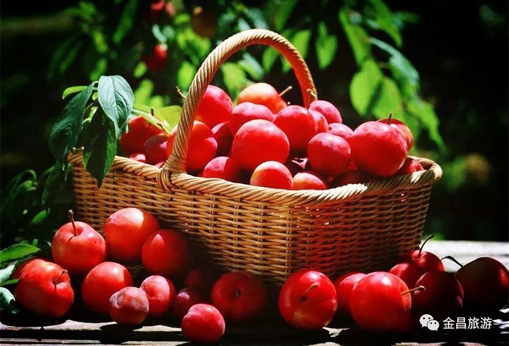 甘肃金昌旅游攻略-甘肃金昌哪里好玩(图51) 甘肃金昌景点_甘肃金昌哪里好玩_甘肃金昌旅游攻略