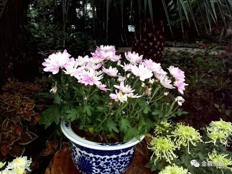 甘肃金昌旅游攻略-甘肃金昌哪里好玩(图57) 甘肃金昌哪里好玩_甘肃金昌旅游攻略_甘肃金昌景点