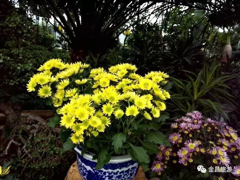 甘肃金昌旅游攻略-甘肃金昌哪里好玩(图58) 甘肃金昌景点_甘肃金昌旅游攻略_甘肃金昌哪里好玩