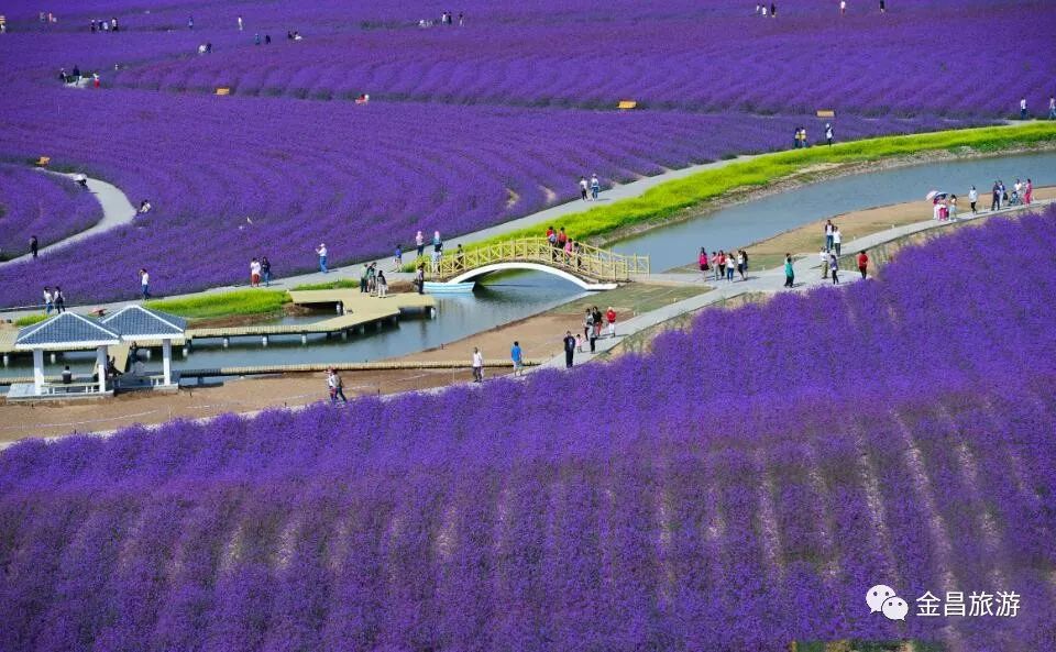 甘肃金昌旅游攻略-甘肃金昌哪里好玩(图8) 甘肃金昌旅游攻略_甘肃金昌哪里好玩_甘肃金昌景点