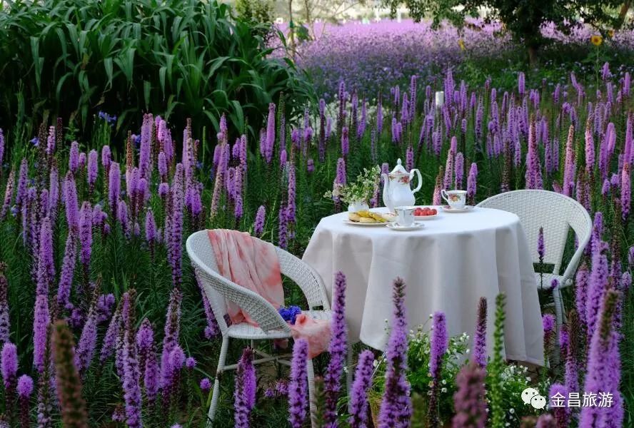 甘肃金昌旅游攻略-甘肃金昌哪里好玩(图9) 甘肃金昌旅游攻略_甘肃金昌景点_甘肃金昌哪里好玩