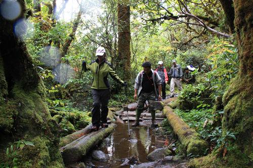 墨脱旅游攻略-墨脱旅游线路(图7) 墨脱旅游攻略_墨脱的旅游攻略_墨脱旅游线路