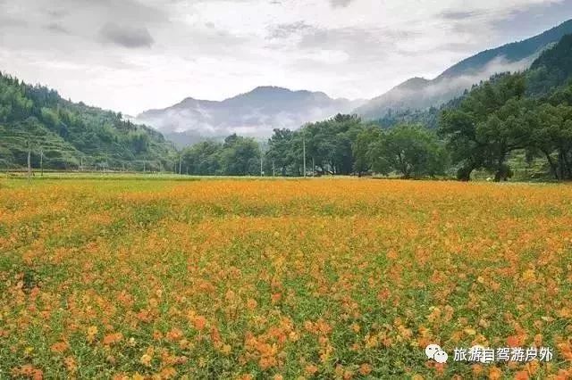 绍兴到西塘旅游攻略-绍兴到西塘开车要多久(图102) 绍兴到西塘开车要多久_绍兴到西塘旅游攻略_绍兴去西塘怎么坐高铁